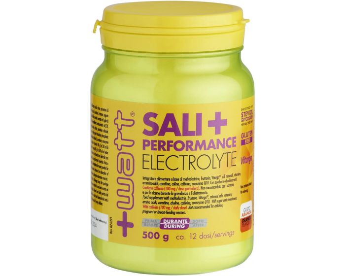SALI + PERFORMANCE ELECTROLYTE 500 GR