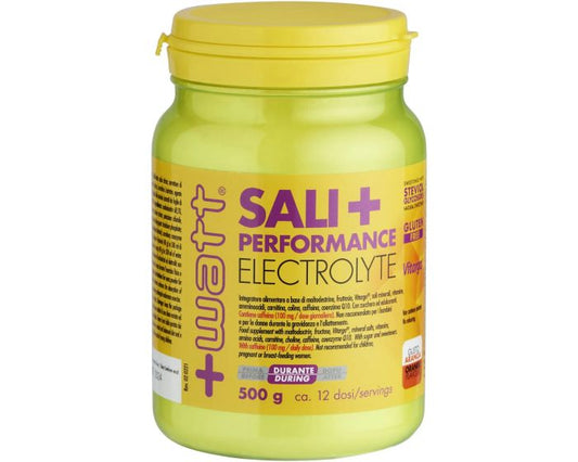 SALTS + PERFORMANCE ELECTROLYTE 500 GR